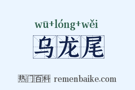 乌龙尾是什么意思的图片